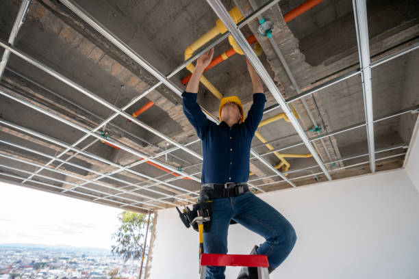 Best Local Plumber Services  in Edwards, CO